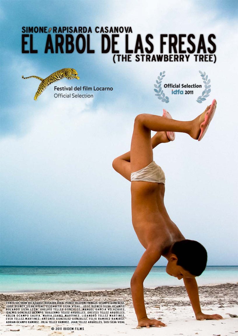 THE STRAWBERRY TREE film poster